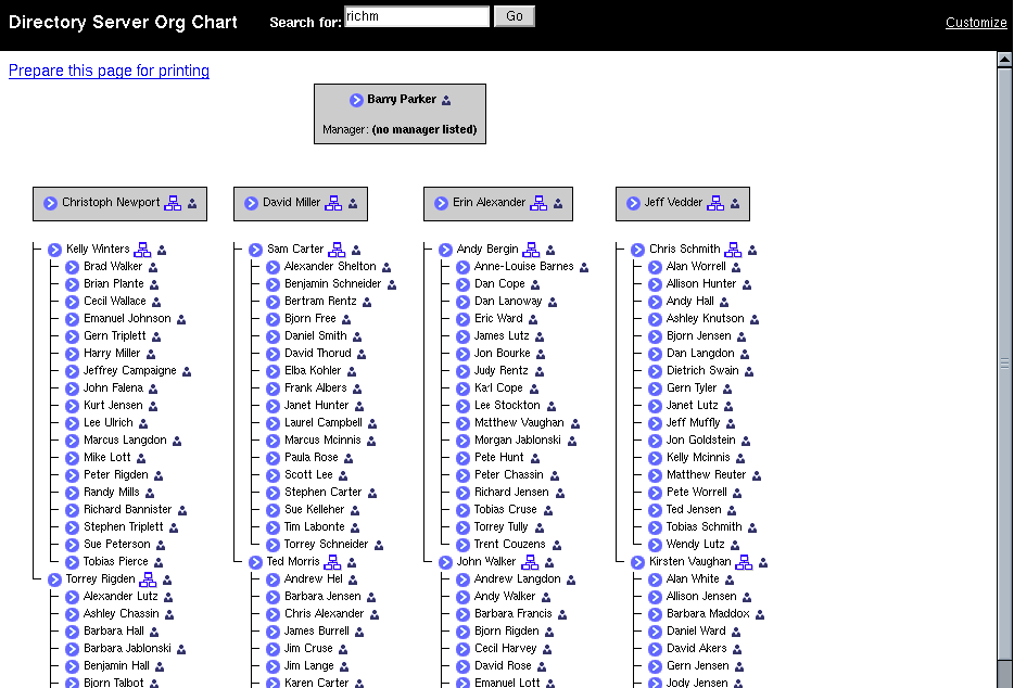 Org Chart Large Organization